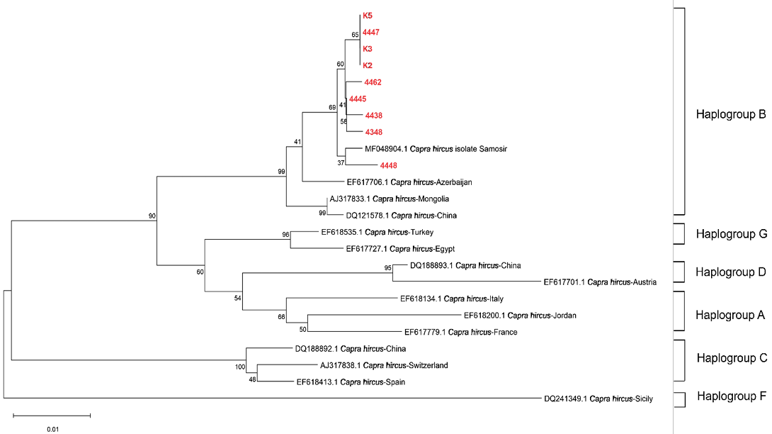Figure 2: