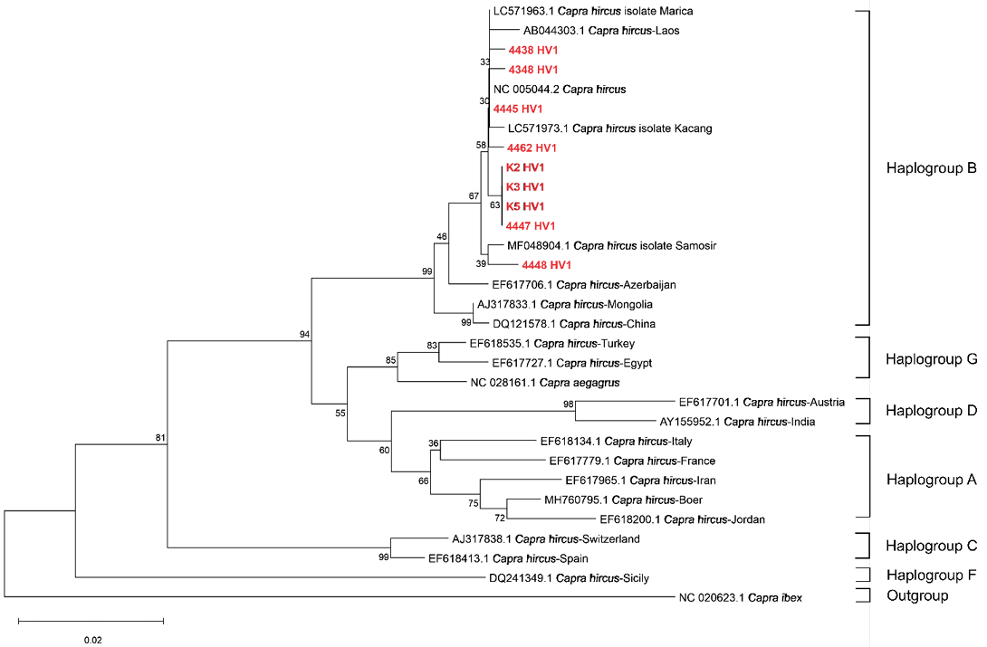 Figure 3:
