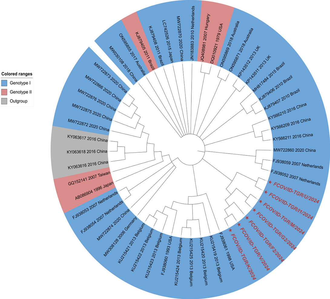 Figure 4: