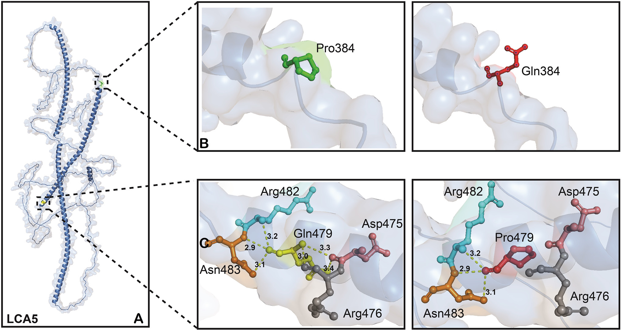 Fig. 3.