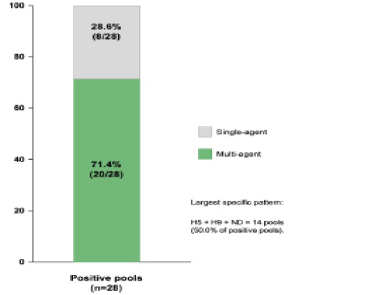 Figure 3B:
