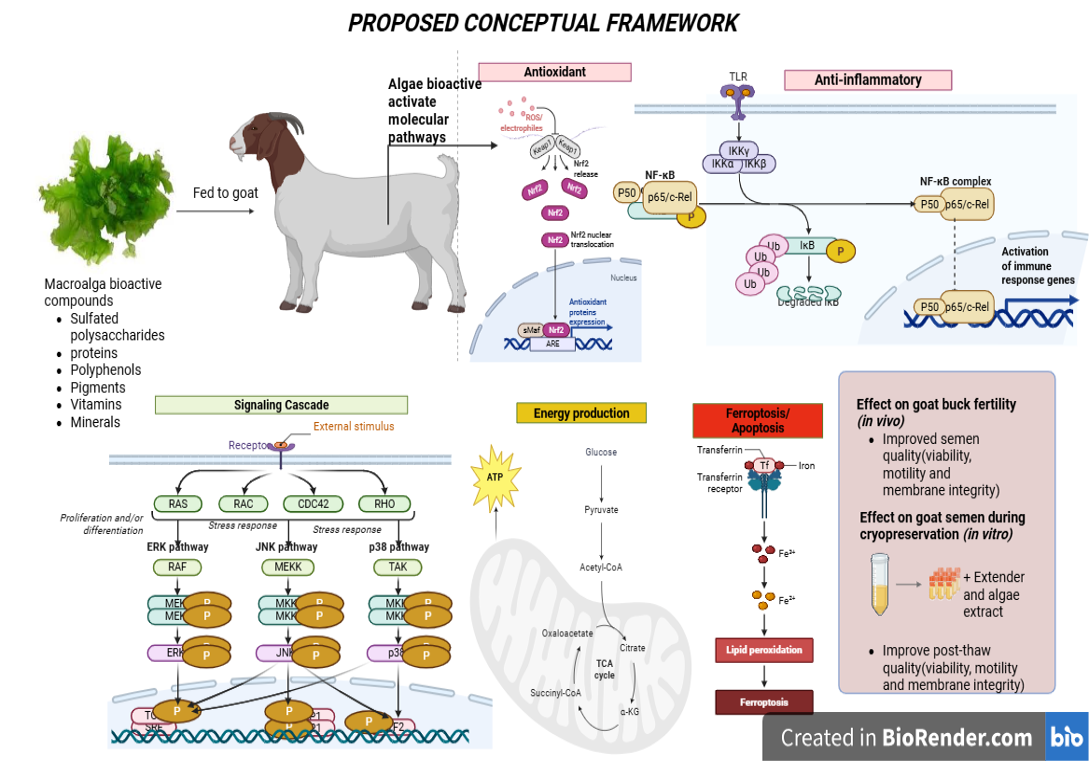 Figure 3: