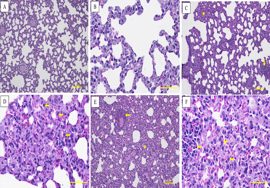 Figure 2: