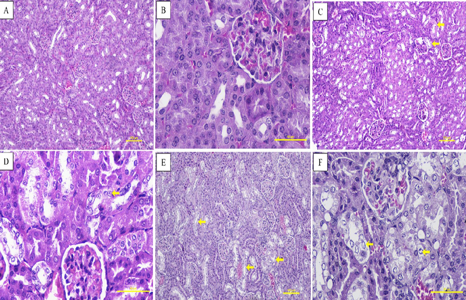 Figure 3: