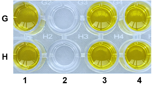 Figure 6: