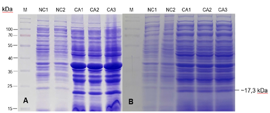 Figure 3:
