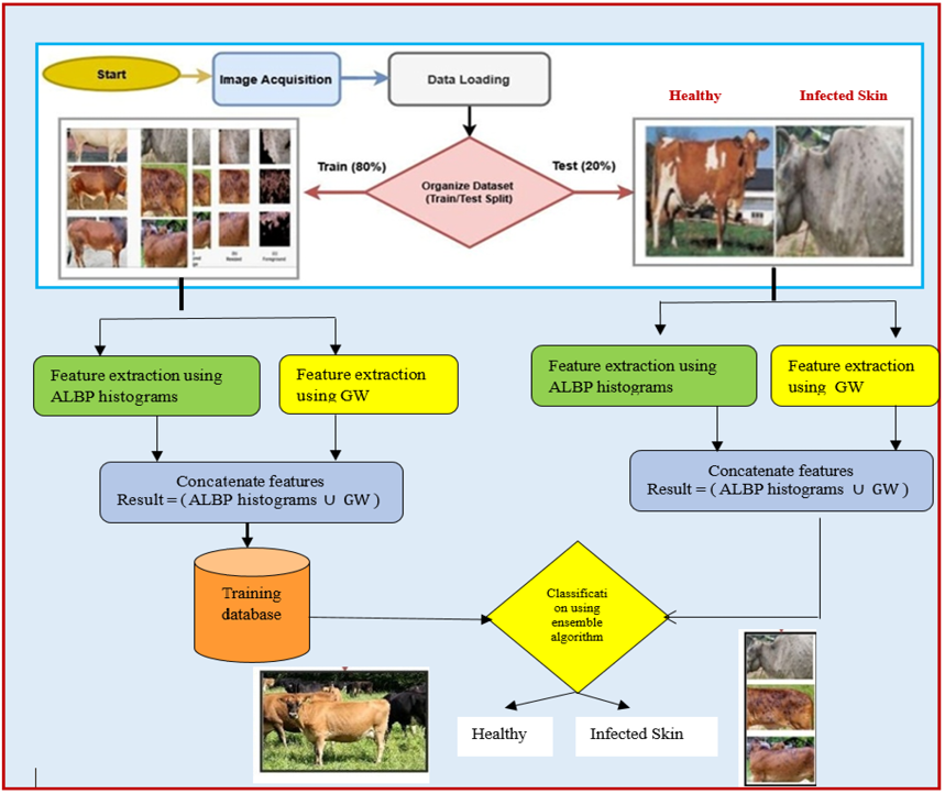 Figure 2: