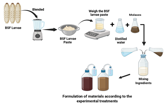 Figure 1: