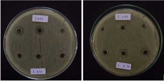 Figure 6:
