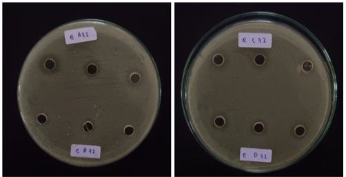 Figure 4: