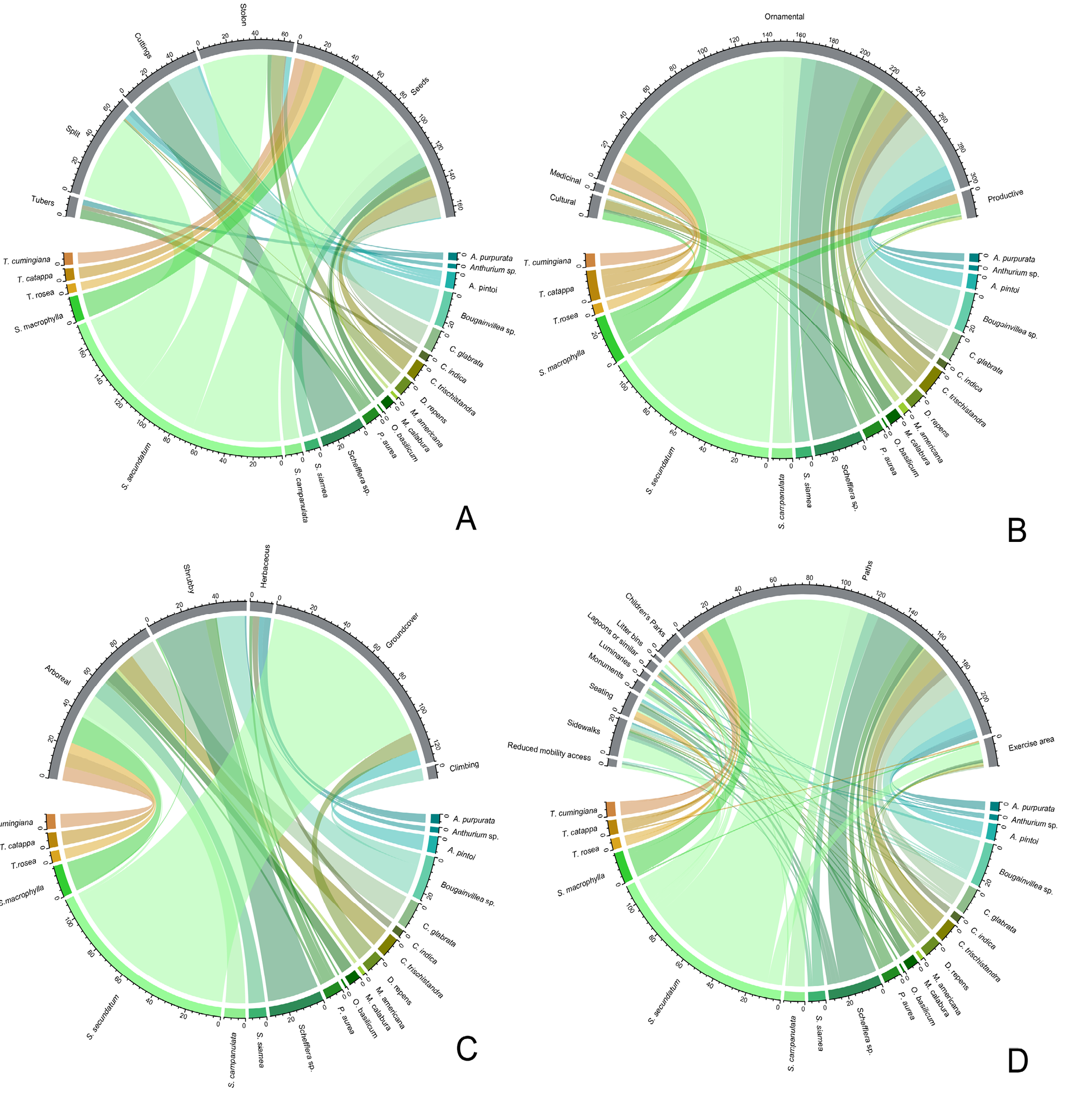 Figure 3: