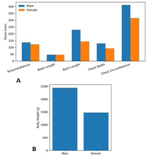 Figure 4: