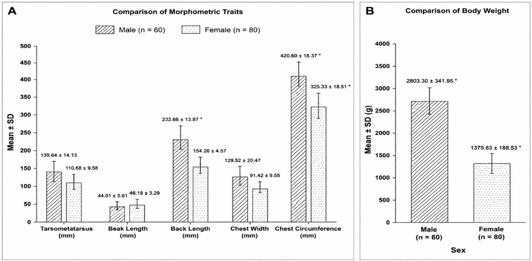 Figure 2: