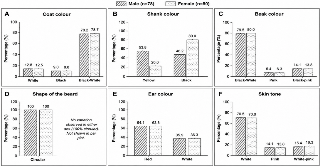 Figure 5: