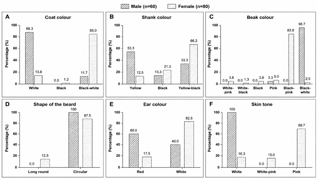 Figure 3: