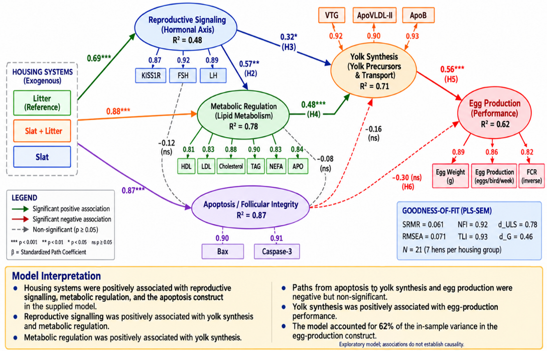 Figure 2: