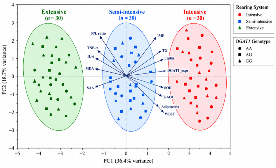 Figure 5: