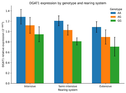 Figure 3: