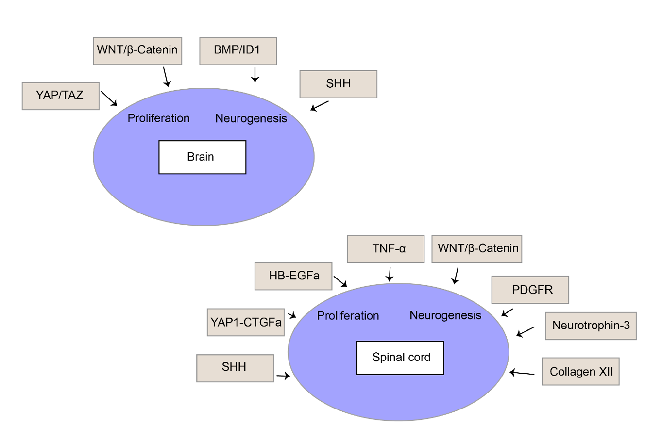 Figure 3: