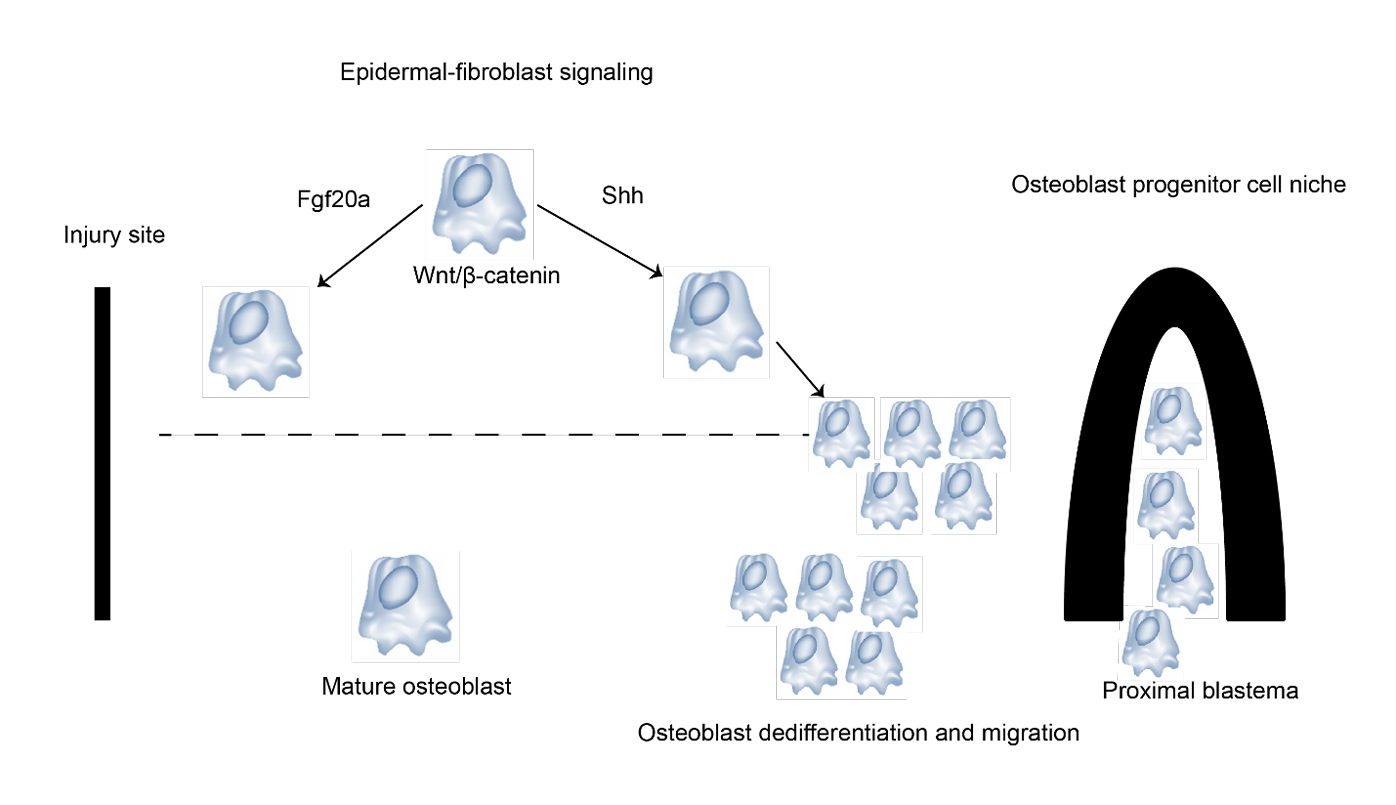 Figure 2: