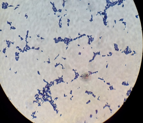 Figure 6: