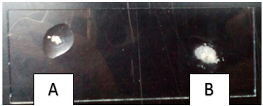 Figure 5: