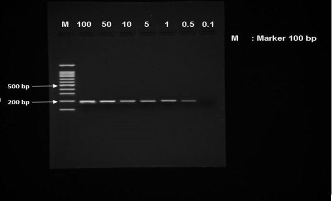 Figure 2:
