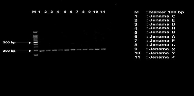 Figure 3: