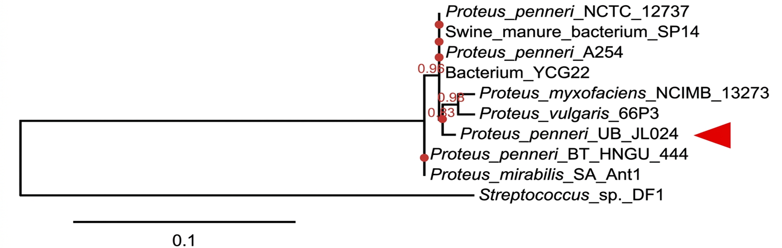 Figure 4: