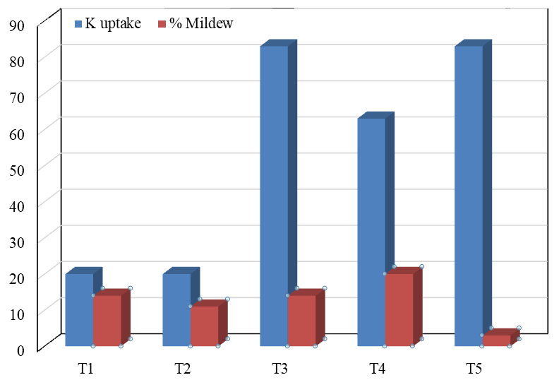 Figure 3: