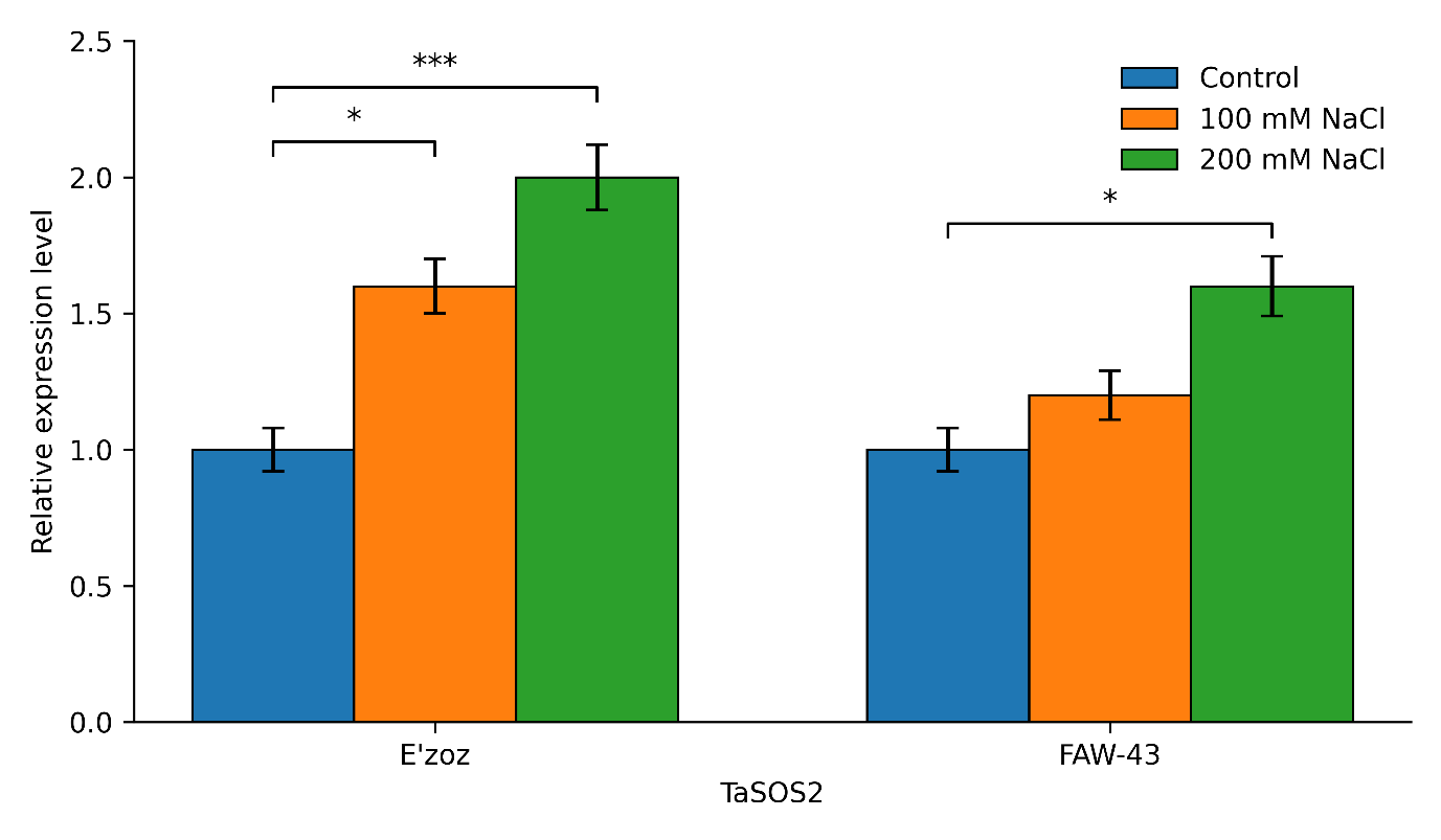 Figure 3: